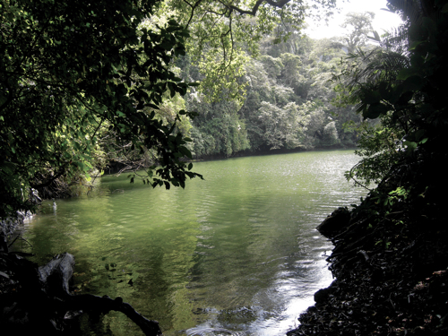 Laguna El Zacatal. Estación de Biología Tropical “Los Tuxtlas”, UNAM